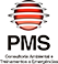 PMS Consultoria